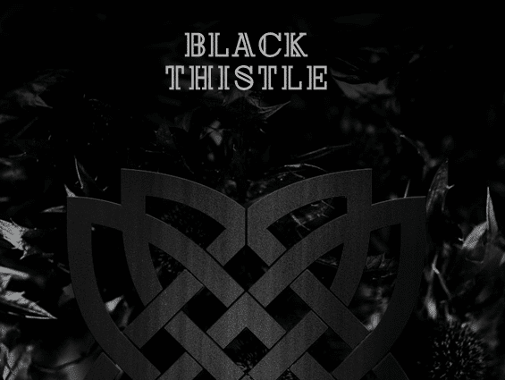 Black Thistle