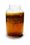 Mature Kombucha before removal of solids